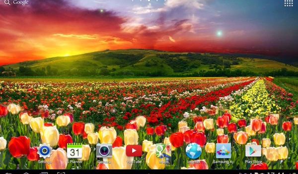 Spring Nature Live Wallpaper Spring Nature Live Wallpaper