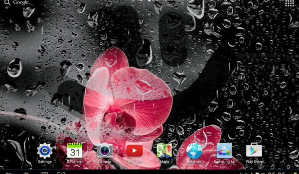 Orchids Live Wallpaper Orchids Live Wallpaper