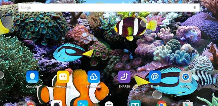 Coral Fish 3D Live Wallpaper Coral Fish 3D Live Wallpaper